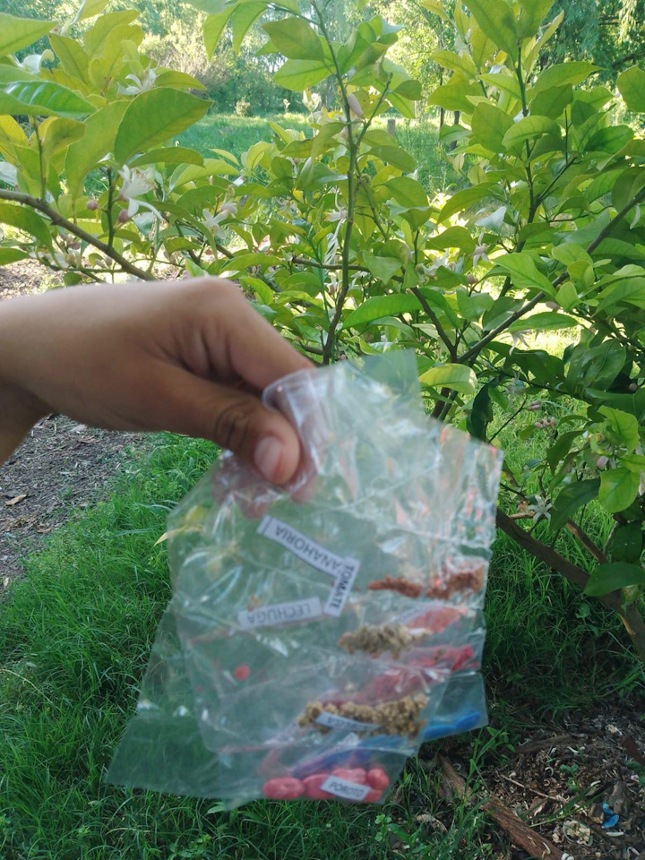 1f9b08cf-5e65-42f6-984a-c5e9f9924365