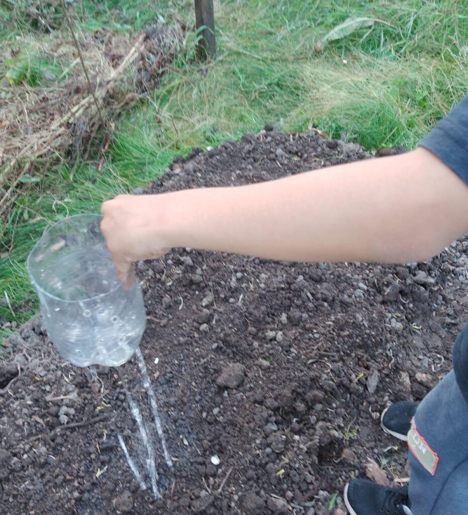 253fc636-f365-49b4-b12c-942d2623830f