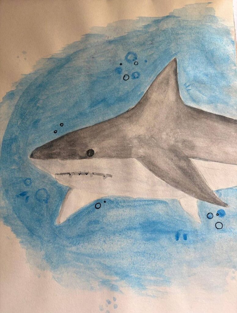 557796653_815003884813506_8854566683825069187_n