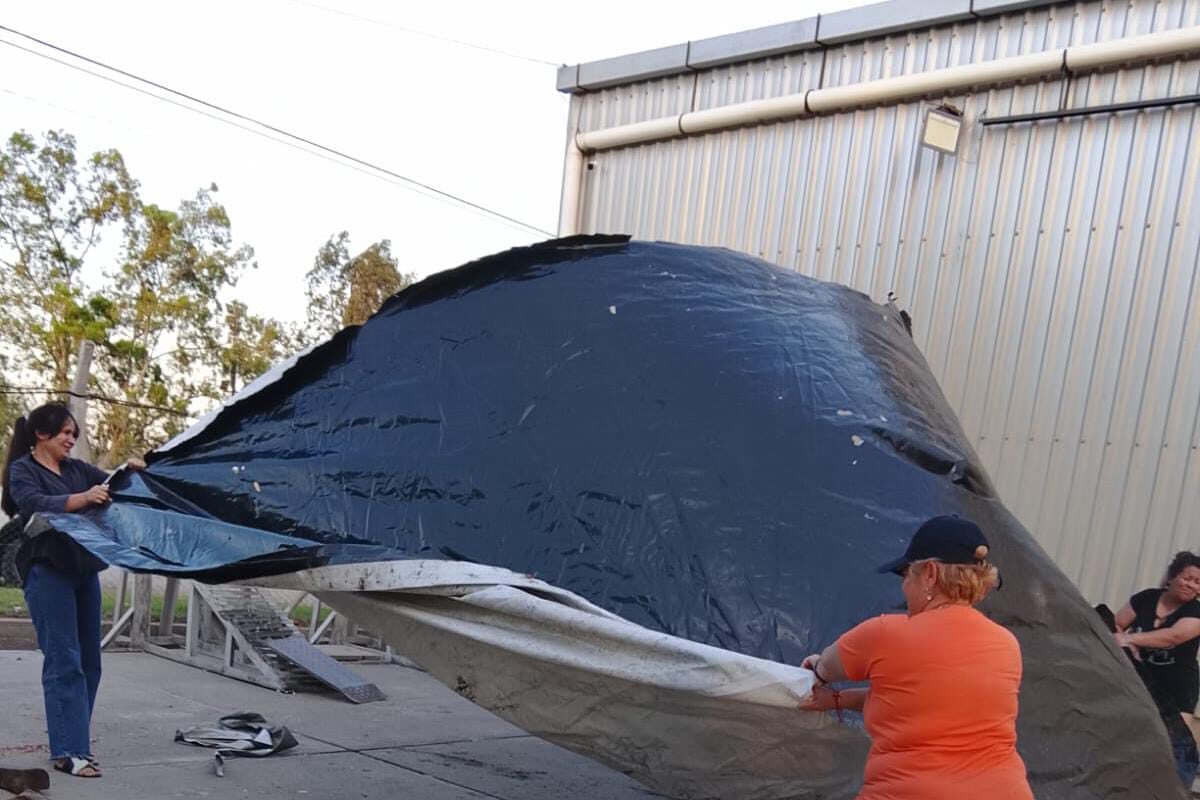 ad77fbfa-503f-49a8-b55a-9db536debf96