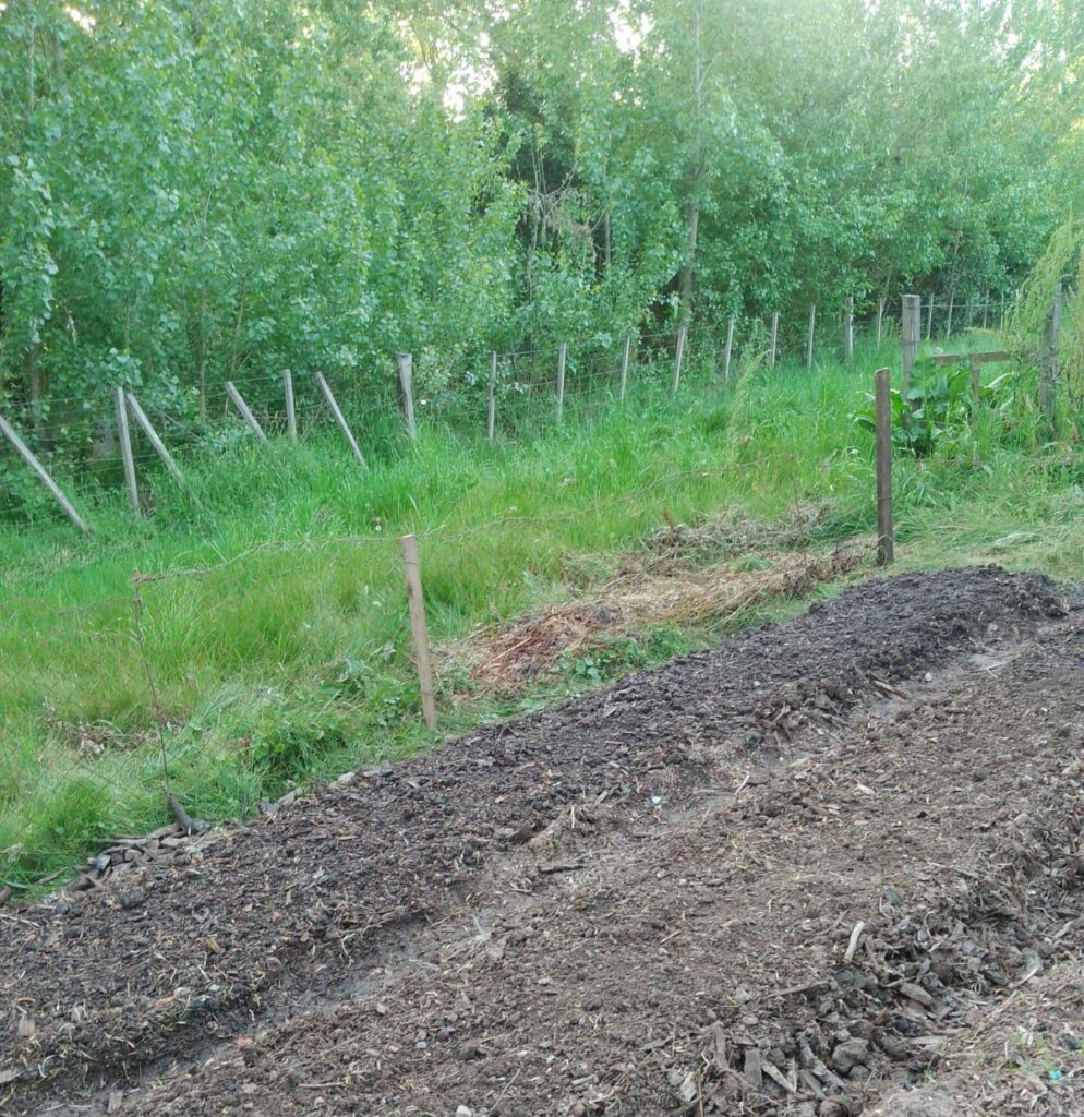 bd259c4b-8b2e-4673-8d9b-da38616058bd