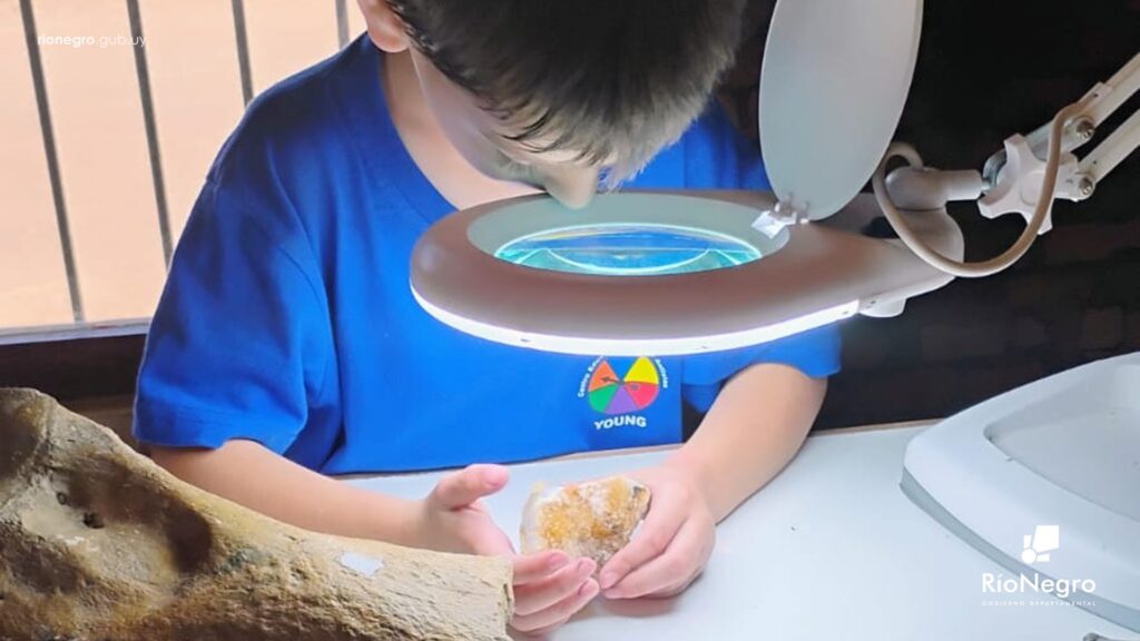 MUARN-CENTRO-AUTISTA-DE-YOUNG-04