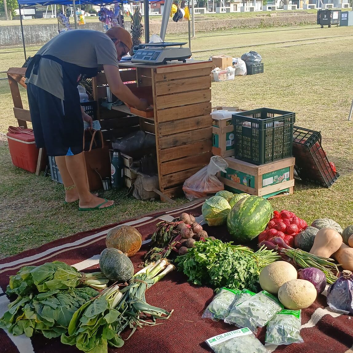 e99741d2-fa60-41ce-9e7d-0874d96a31e2