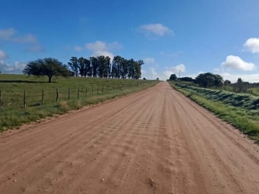 8f44b892-09f0-429c-8739-684642ab27e0